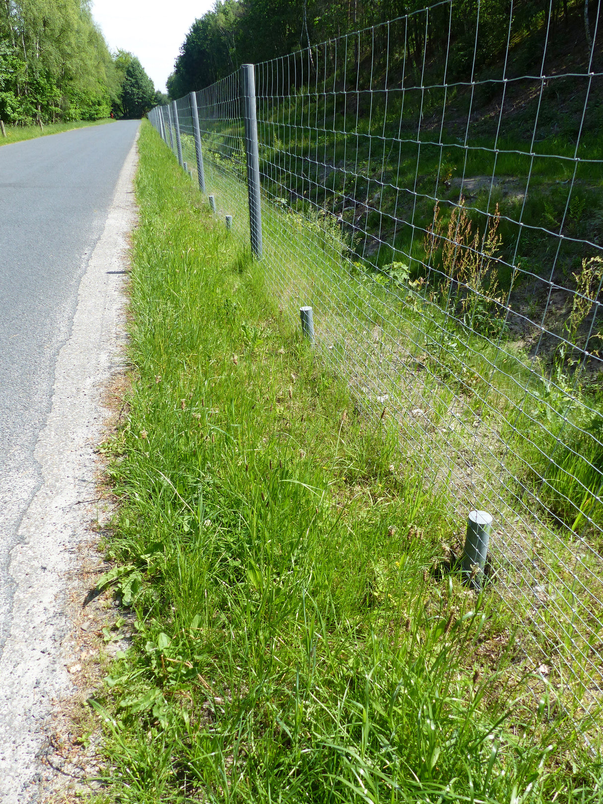 Mieti sētai mono kompozīta plastmasa Hanit