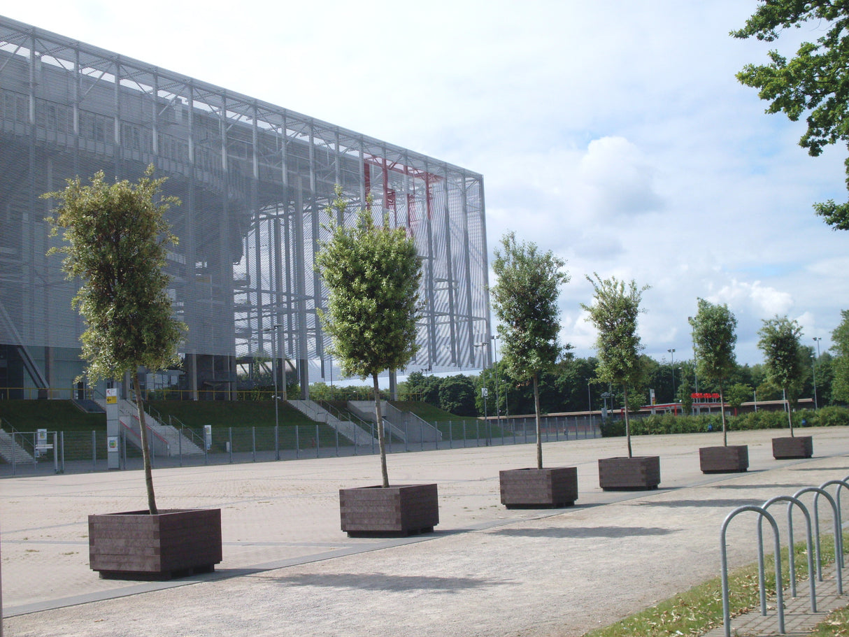 Puķu kaste Iberis mono kompozīta plastmasa Hanit