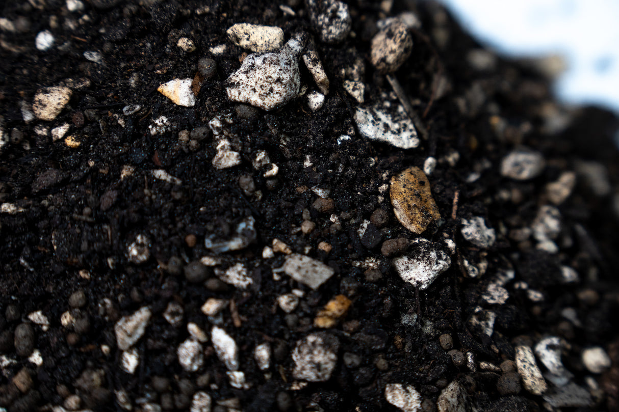 Substrāts ekstra vieglais intensīvais