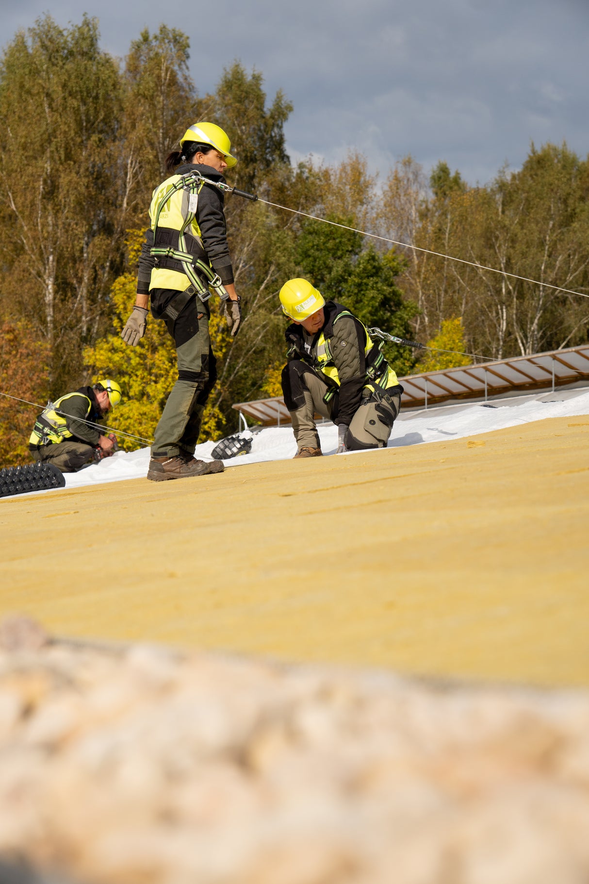 Ūdens akumulācijas panelis Isover Flora Zaļajiem jumtiem