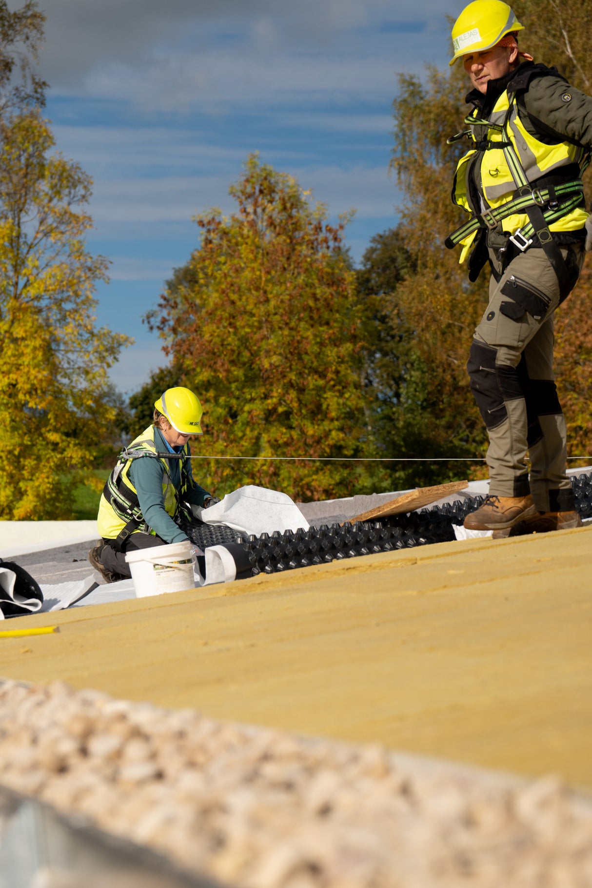 Ūdens akumulācijas panelis Isover Flora Zaļajiem jumtiem