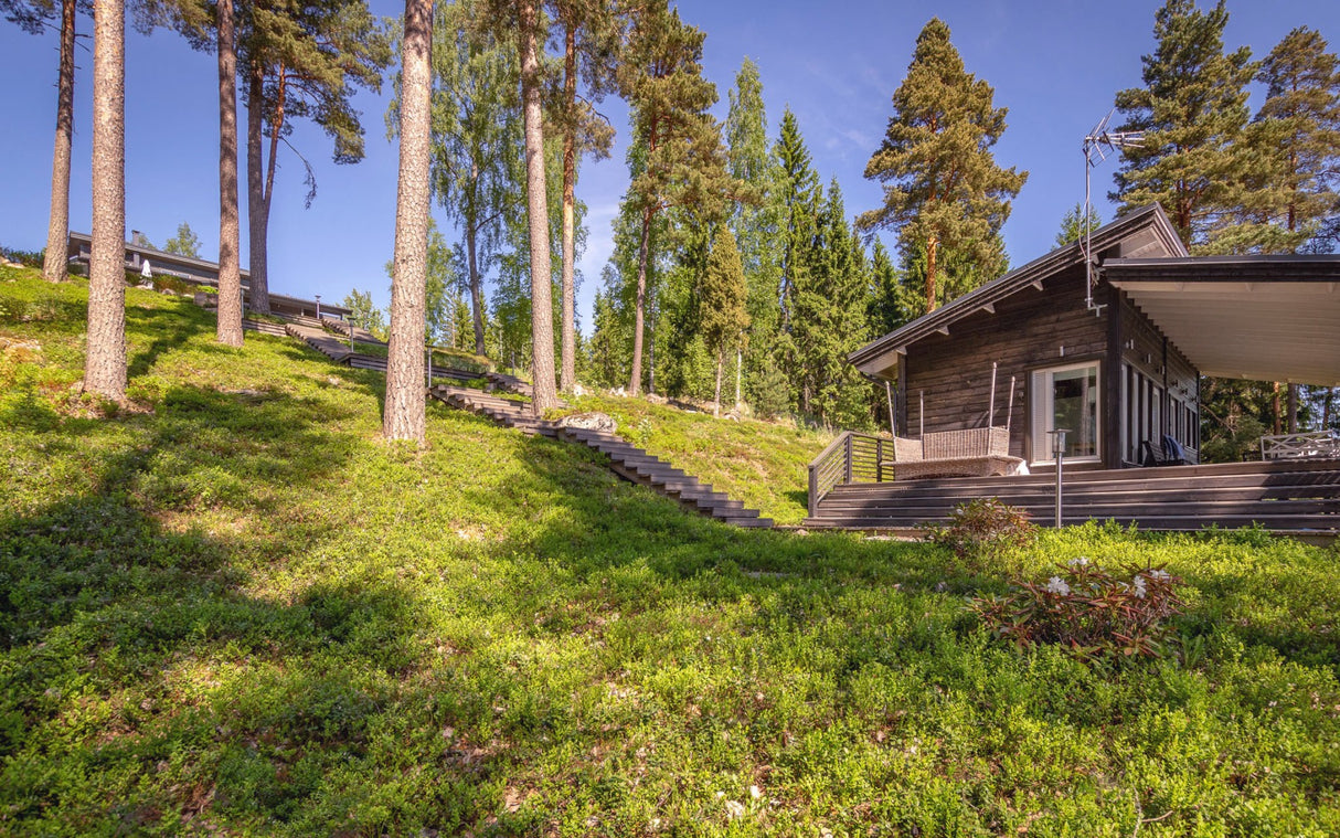 Mētrāju zemsedze m2