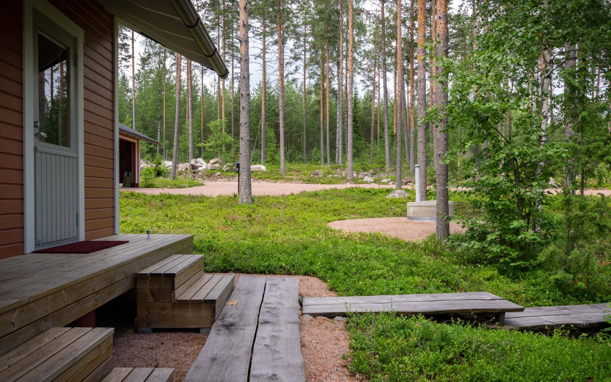 Mētrāju zemsedze m2