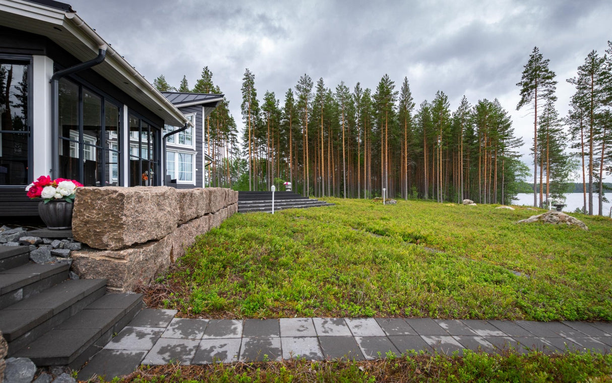 Mētrāju zemsedze m2