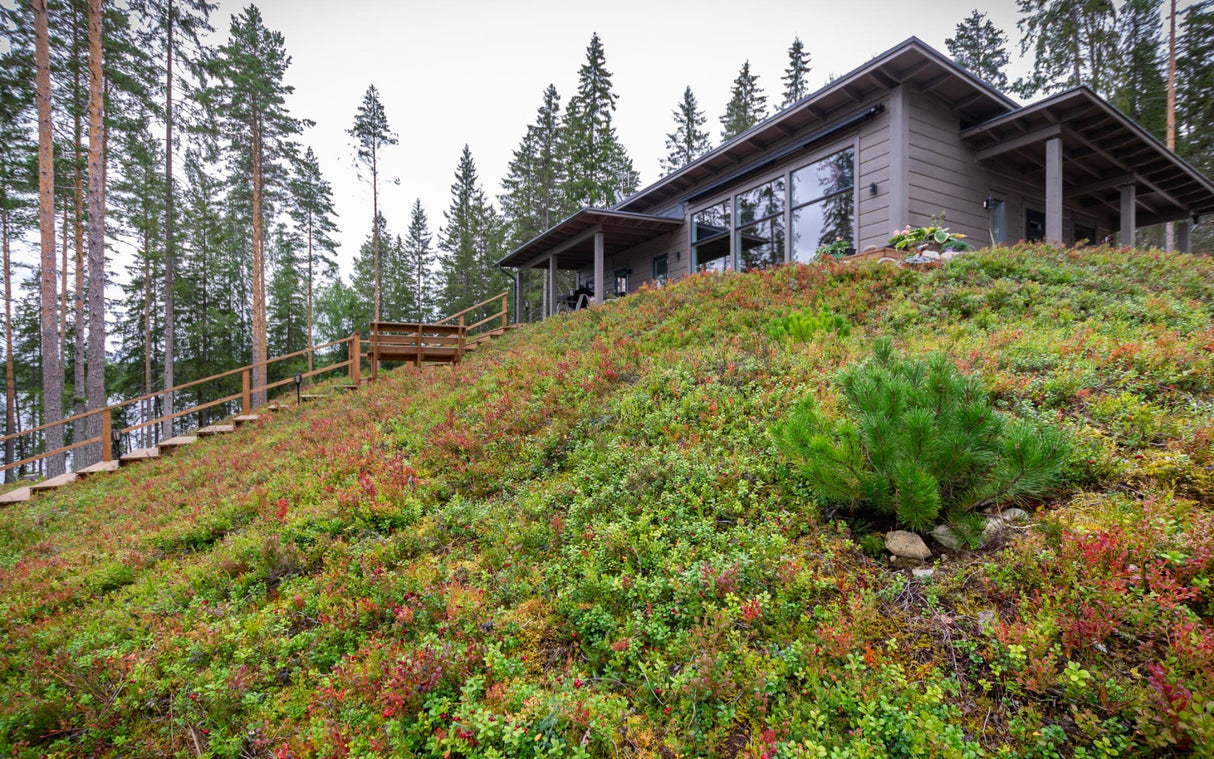 Mētrāju zemsedze m2