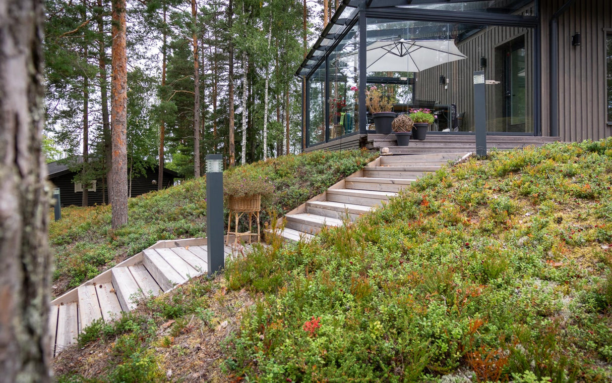 Mētrāju zemsedze m2