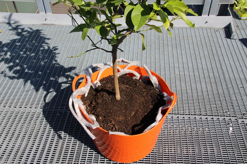 Pastāvīgs ūdens uzglabāšanas tīkls augiem LITE-NET - PP