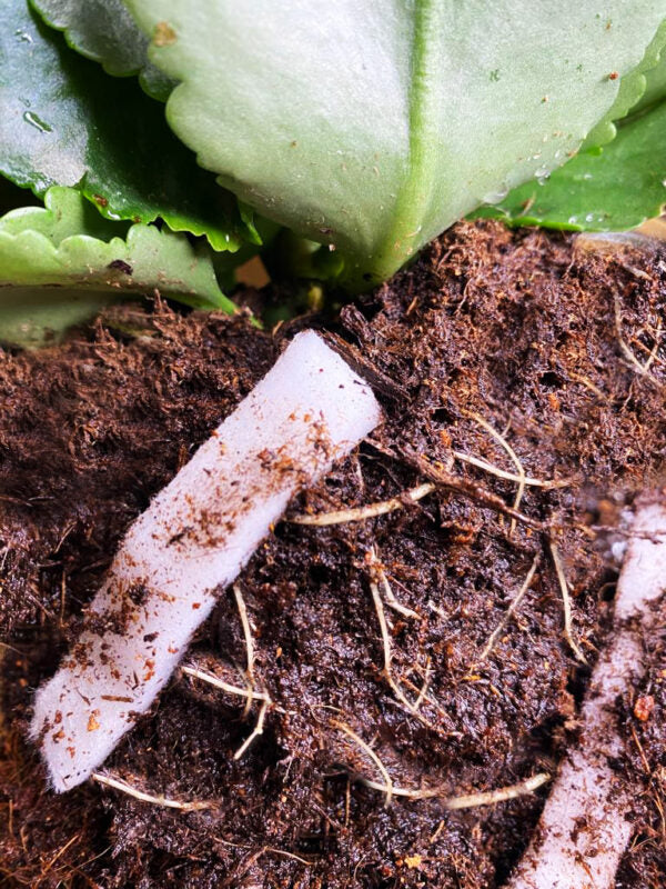 Ūdens uzglabāšanas sistēma augiem LITE-STRIPS — PP