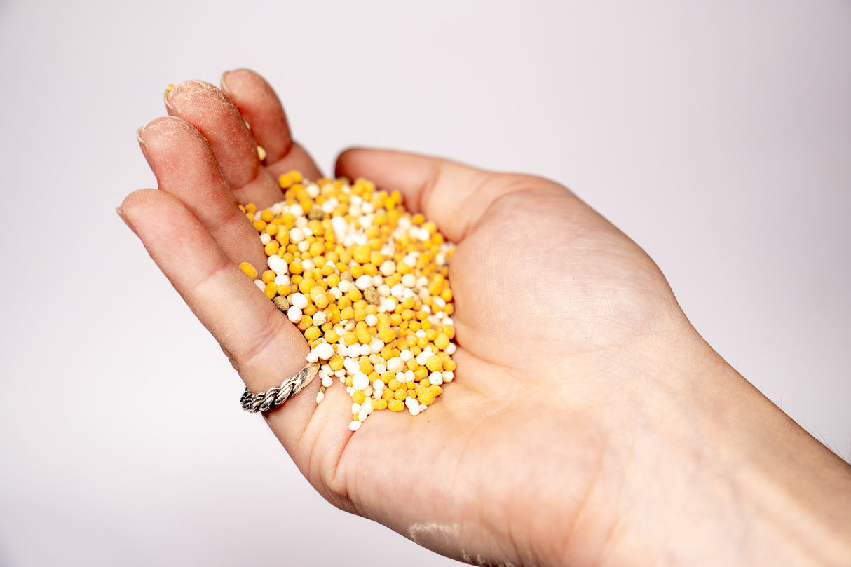 Laimiņu zemsedzes kondicionieris Sempergreen