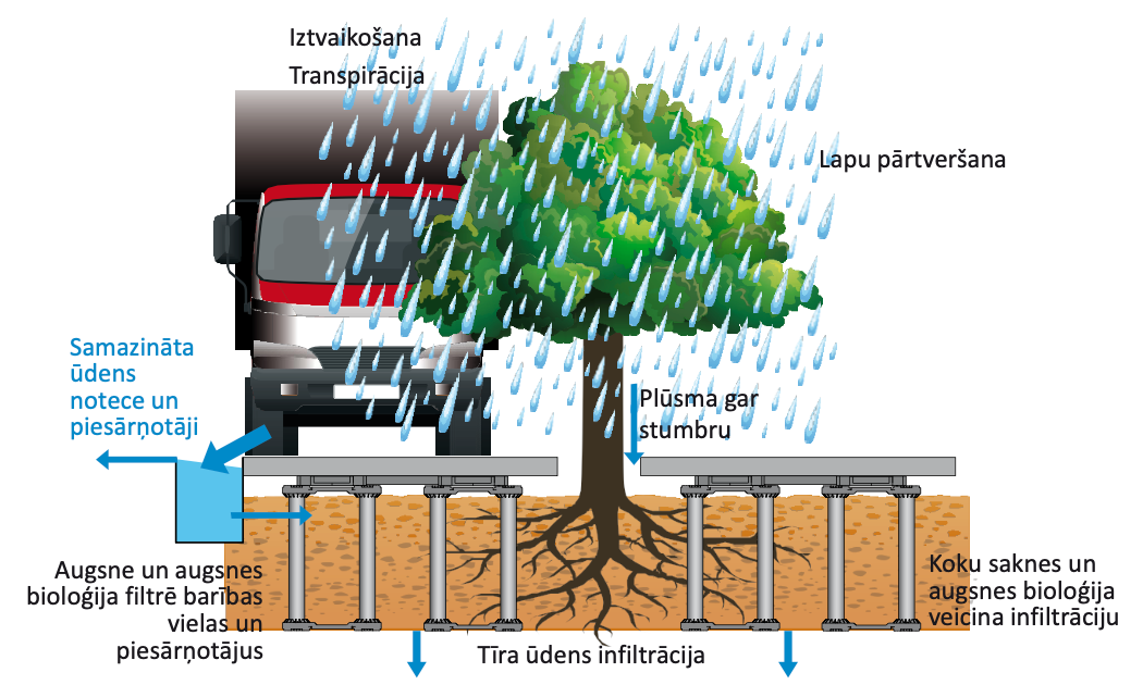 Strukturālā augsnes šūnu sistēma kokiem pilsētvidē ROOTBOX