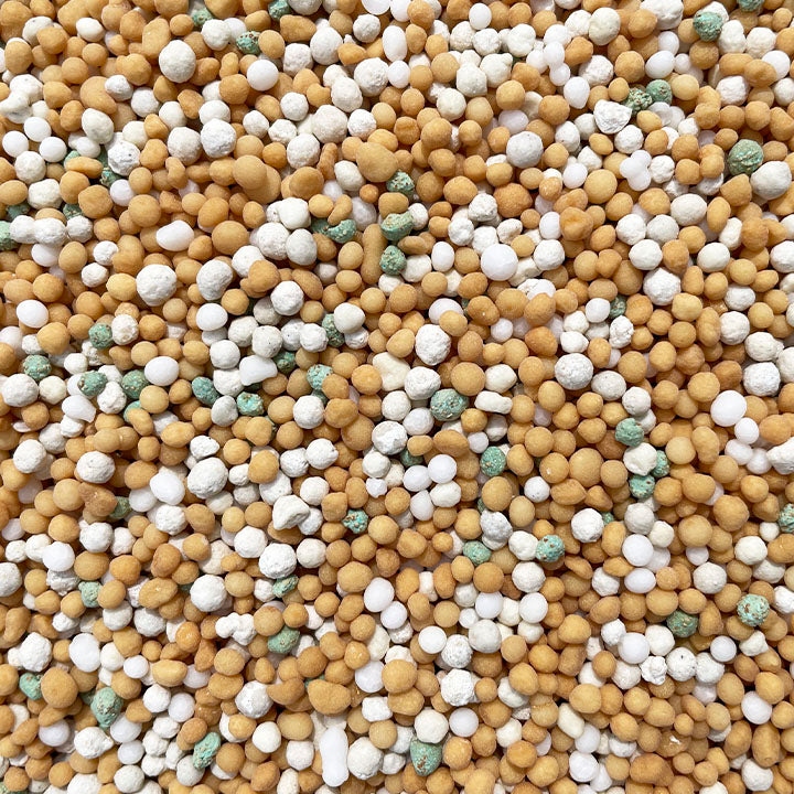 Laimiņu zemsedzes kondicionieris Sempergreen