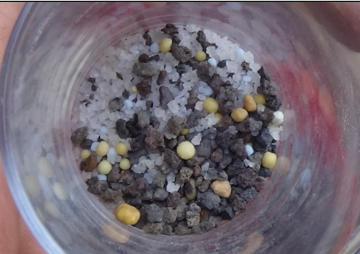 Hidrogels Augsnes uzlabotājs TerraCottem universālais 750g