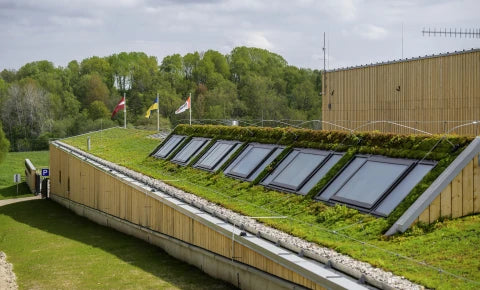 Laimiņu zemsedzes paklājs 60x200cm