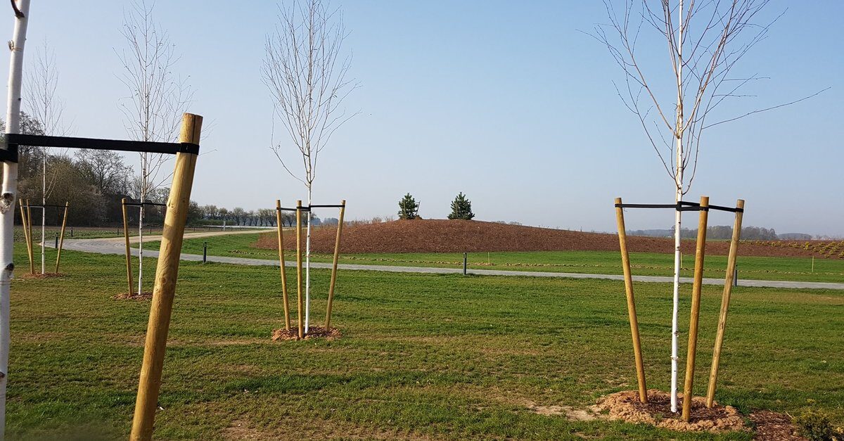 Lenta koku piesiešanai