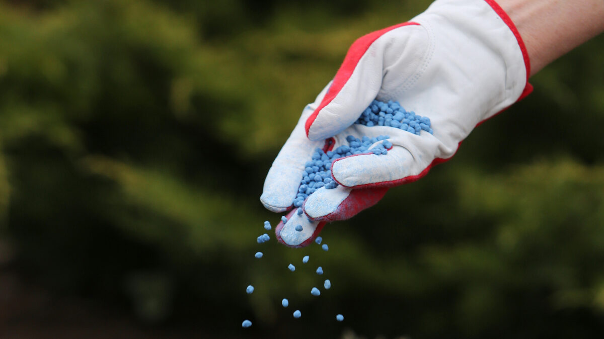 Mēslojums rudenim 5KG