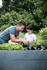 Puķu kaste Muscari mono kompozīta plastmasa Hanit