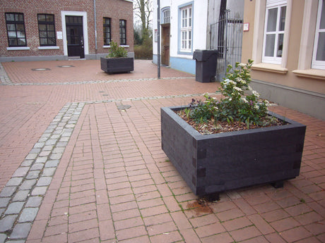 Puķu kaste Iberis mono kompozīta plastmasa Hanit