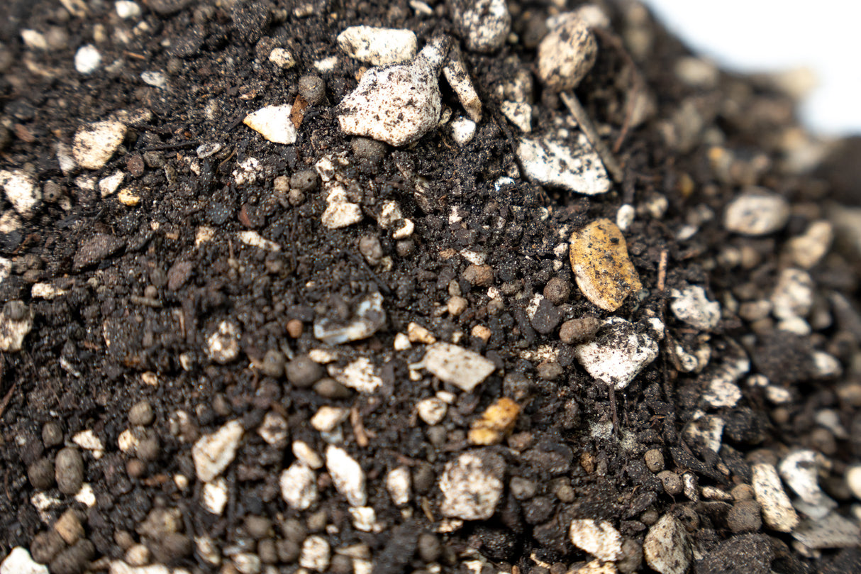 Substrāts ekstra vieglais intensīvais